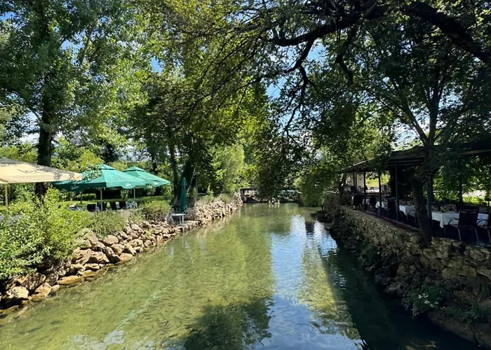 Nature View